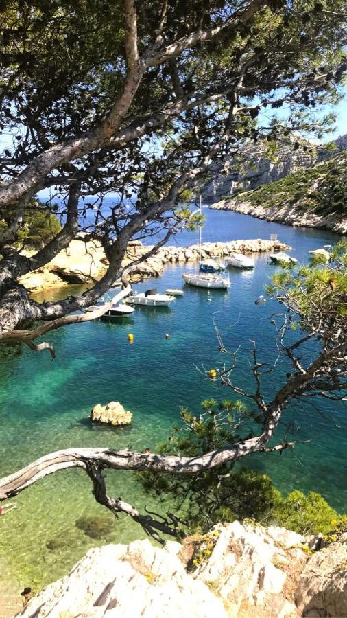 Le Sept Charmant Studio Aux Portes Des Calanques Apartman Cassis Kültér fotó